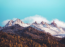 星空体育官网：在星光与热情之间，开启你专属的体育娱乐之旅